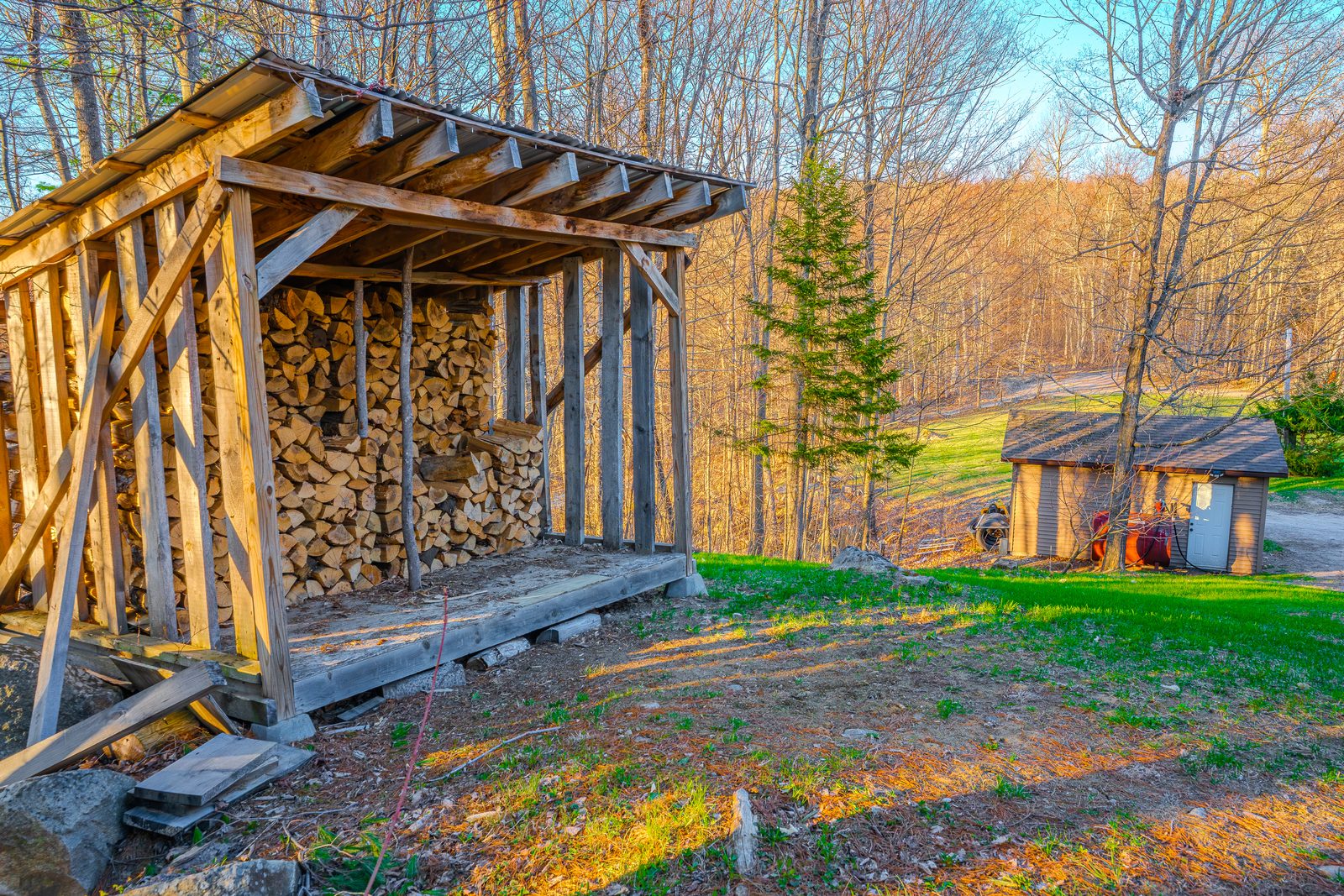 Stacked firewood and outbuilding at golden hour