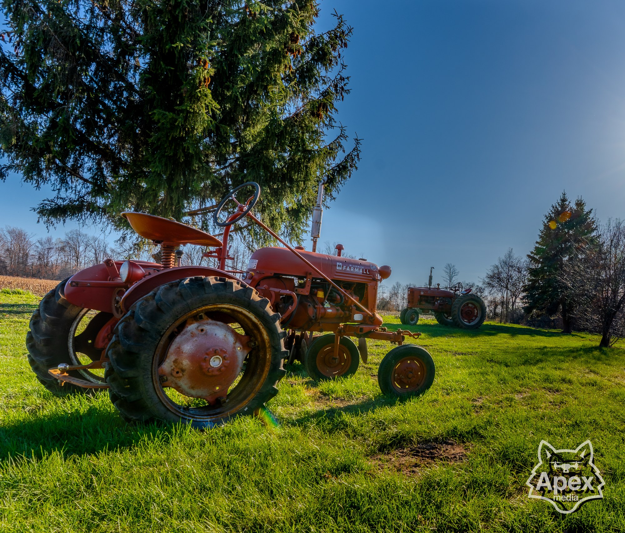 McCormick Farmall close-up with chrome badge, golden hour