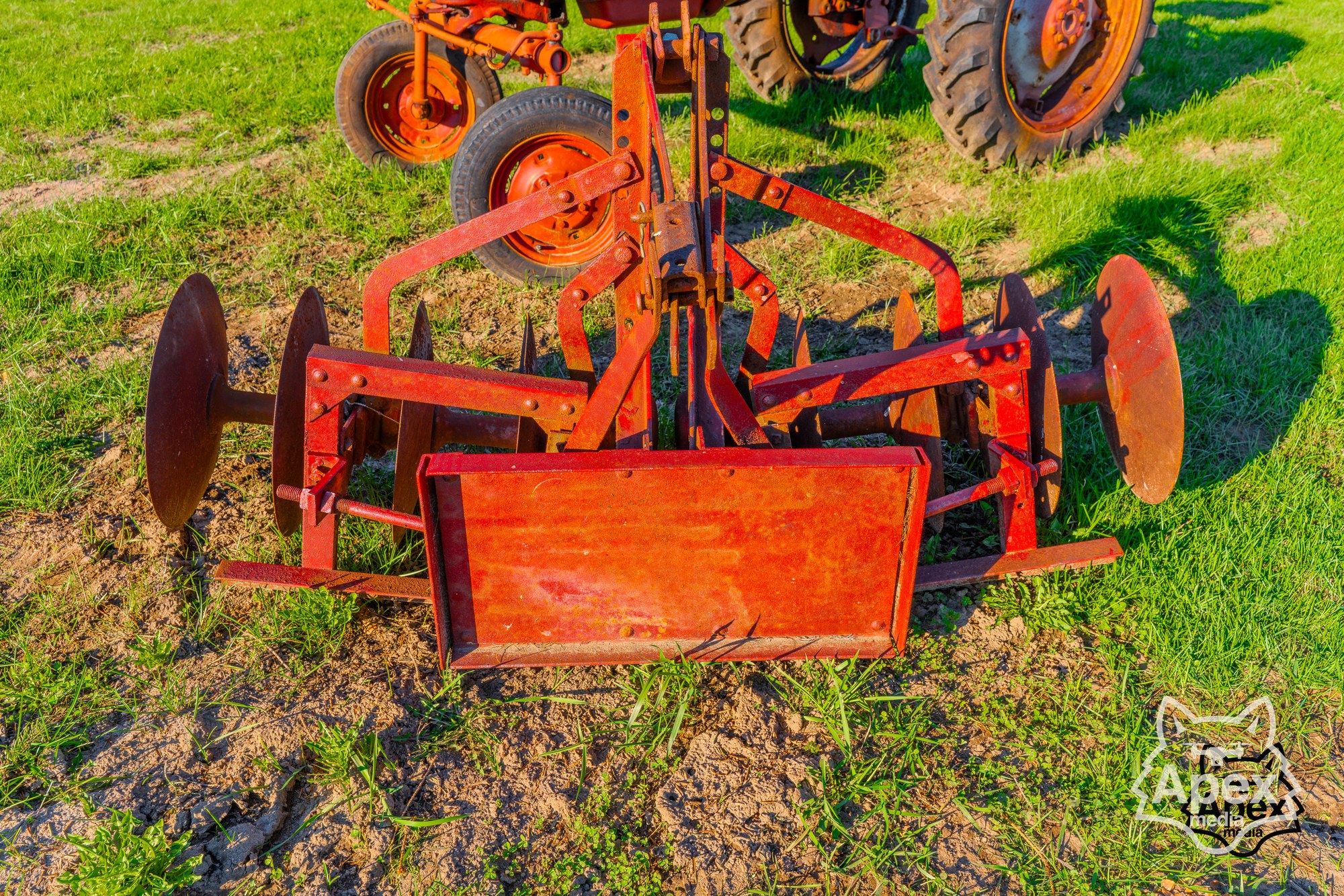 Red Farmall A tractor under tall pine tree